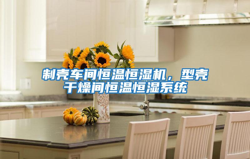 制殼車間恒溫恒濕機，型殼干燥間恒溫恒濕系統(tǒng)