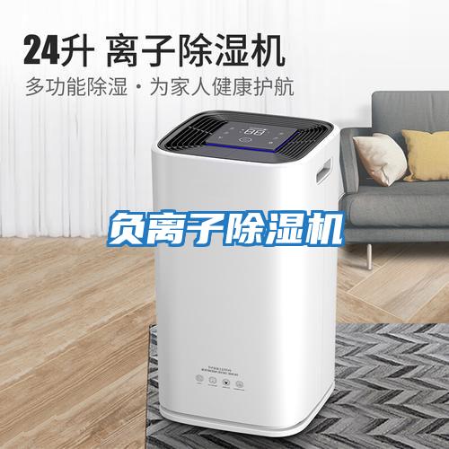 負(fù)離子除濕機