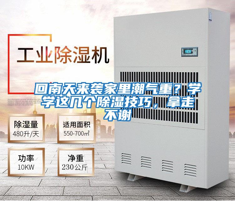 回南天來襲家里潮氣重？學(xué)學(xué)這幾個除濕技巧，拿走不謝