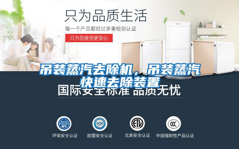 吊裝蒸汽去除機(jī)，吊裝蒸汽快速去除裝置