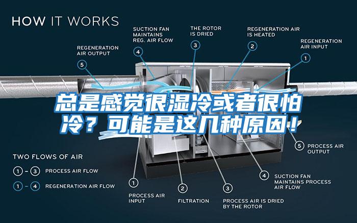 總是感覺很濕冷或者很怕冷？可能是這幾種原因！