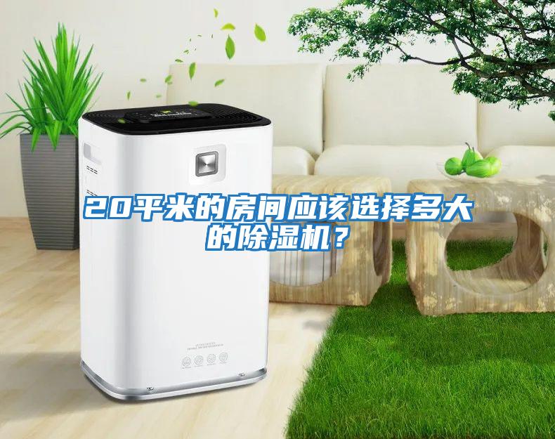 20平米的房間應該選擇多大的除濕機？