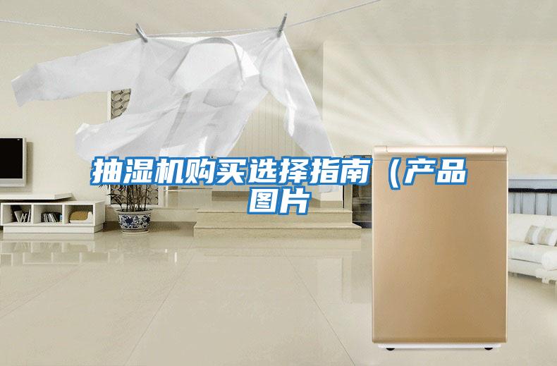 抽濕機購買選擇指南（產品圖片