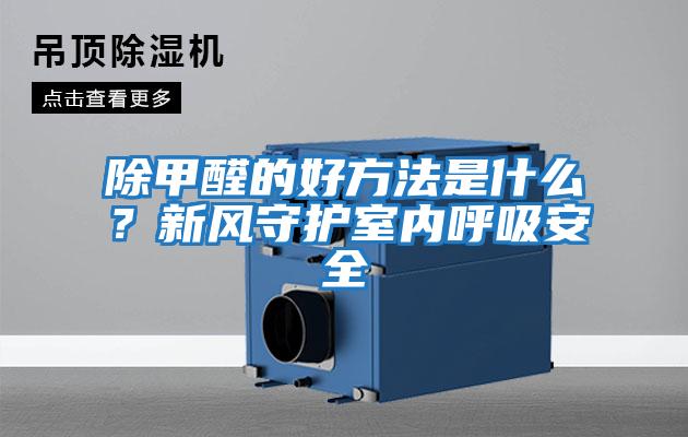 除甲醛的好方法是什么？新風守護室內呼吸安全