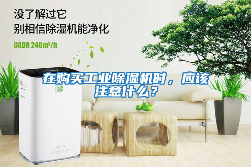 在購(gòu)買工業(yè)除濕機(jī)時(shí)，應(yīng)該注意什么？