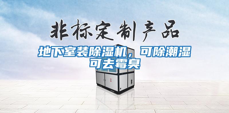 地下室裝除濕機，可除潮濕可去霉臭