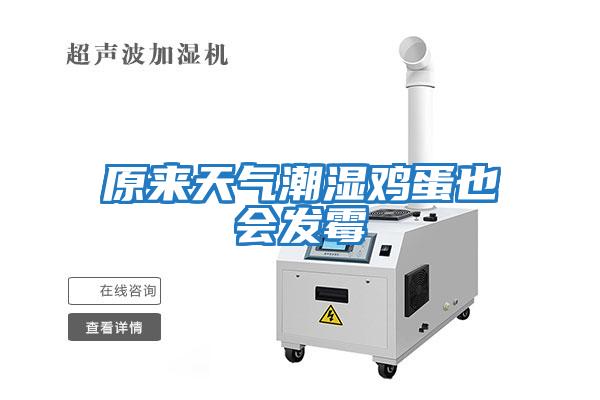 原來天氣潮濕雞蛋也會發霉