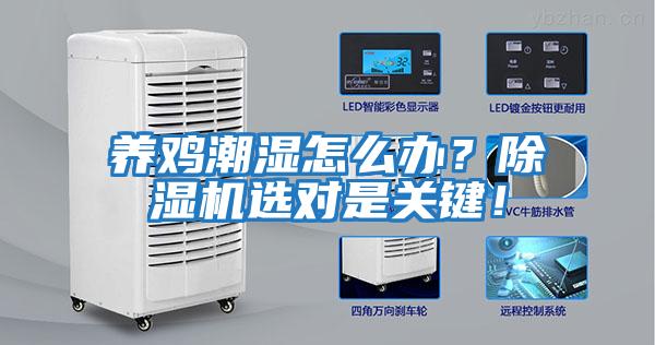 養雞潮濕怎么辦？除濕機選對是關鍵！