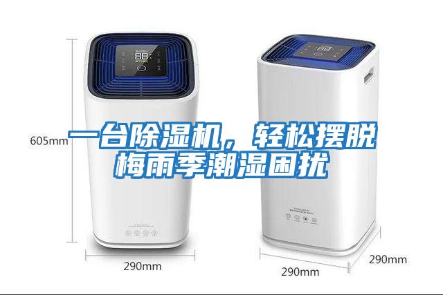一臺除濕機，輕松擺脫梅雨季潮濕困擾