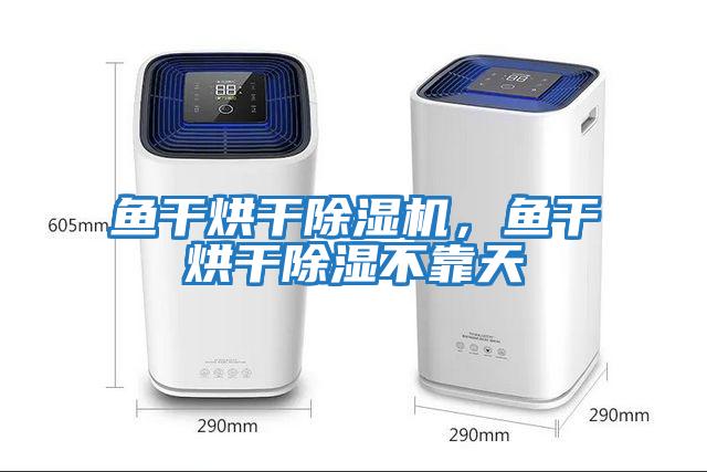 魚干烘干除濕機，魚干烘干除濕不靠天
