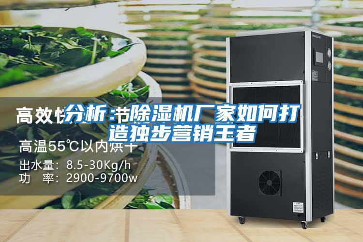 分析：除濕機(jī)廠家如何打造獨(dú)步營(yíng)銷(xiāo)王者