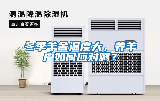 冬季羊舍濕度大，養羊戶如何應對??？