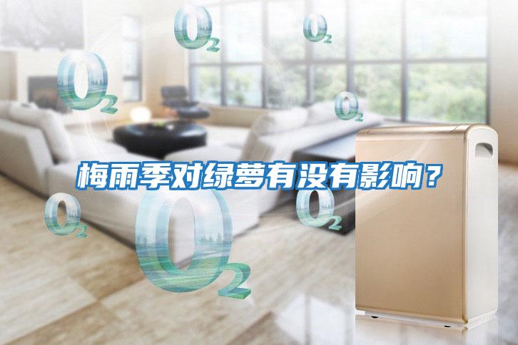 梅雨季對綠蘿有沒有影響？