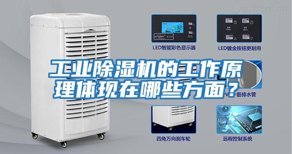 工業(yè)除濕機(jī)的工作原理體現(xiàn)在哪些方面？