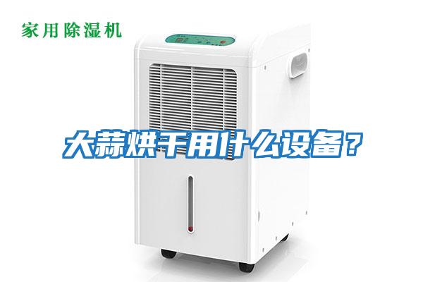 大蒜烘干用什么設備？