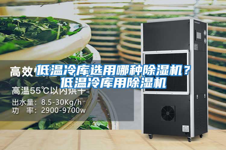 低溫冷庫選用哪種除濕機？低溫冷庫用除濕機