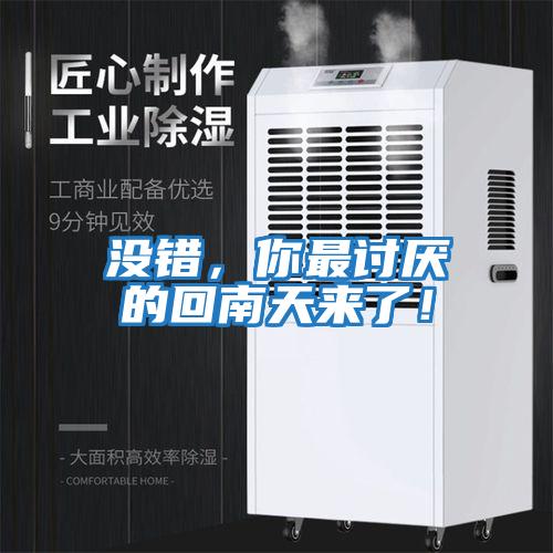 沒錯，你最討厭的回南天來了！