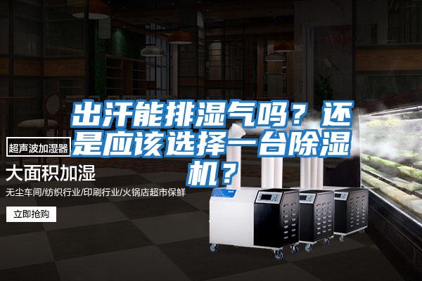 出汗能排濕氣嗎？還是應(yīng)該選擇一臺除濕機(jī)？