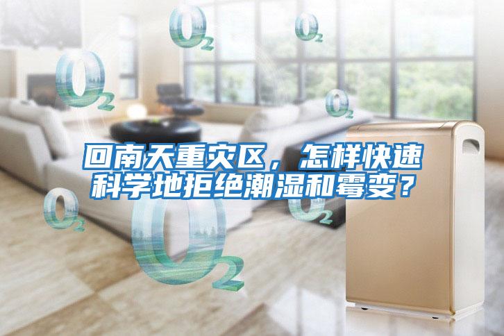 回南天重災區，怎樣快速科學地拒絕潮濕和霉變？