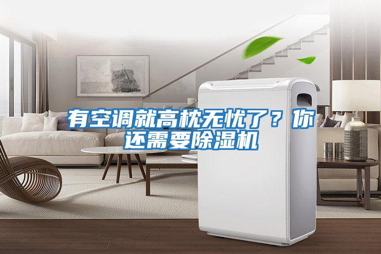 有空調(diào)就高枕無(wú)憂(yōu)了？你還需要除濕機(jī)