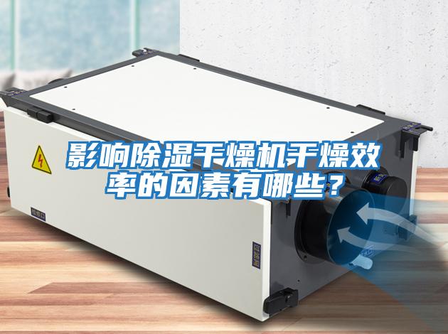 影響除濕干燥機干燥效率的因素有哪些？