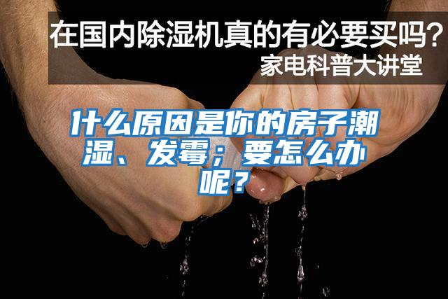 什么原因是你的房子潮濕、發霉；要怎么辦呢？