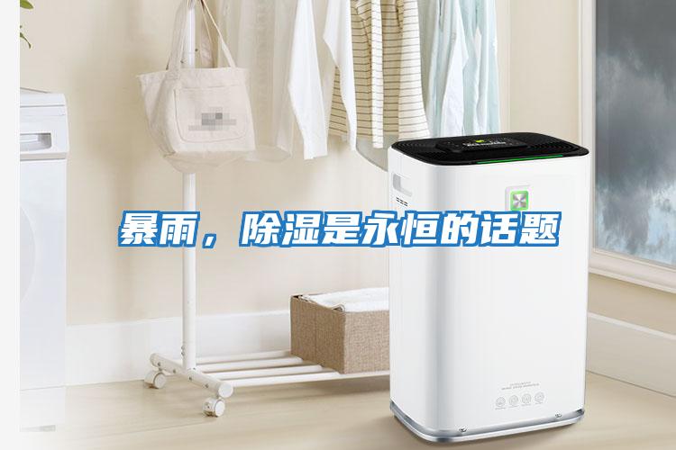 暴雨，除濕是永恒的話題