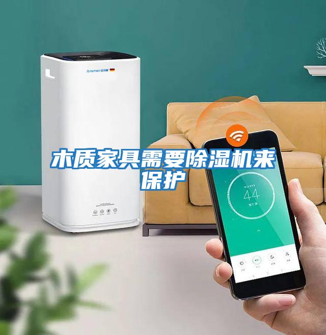 木質(zhì)家具需要除濕機來保護