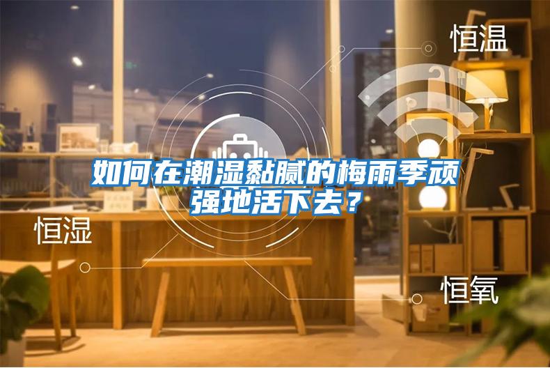 如何在潮濕黏膩的梅雨季頑強(qiáng)地活下去？