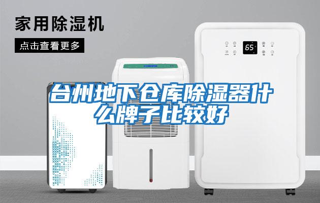 臺(tái)州地下倉庫除濕器什么牌子比較好