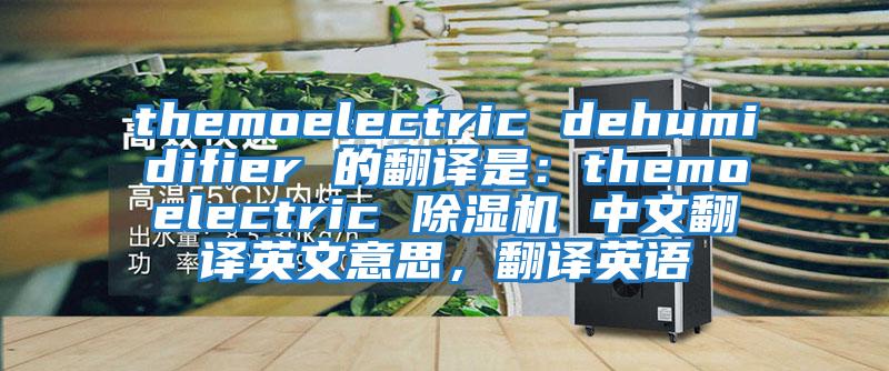 themoelectric dehumidifier 的翻譯是：themoelectric 除濕機(jī) 中文翻譯英文意思，翻譯英語