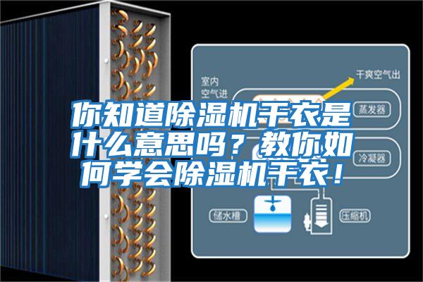 你知道除濕機干衣是什么意思嗎？教你如何學會除濕機干衣！