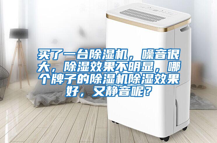 買了一臺除濕機，噪音很大，除濕效果不明顯，哪個牌子的除濕機除濕效果好，又靜音呢？