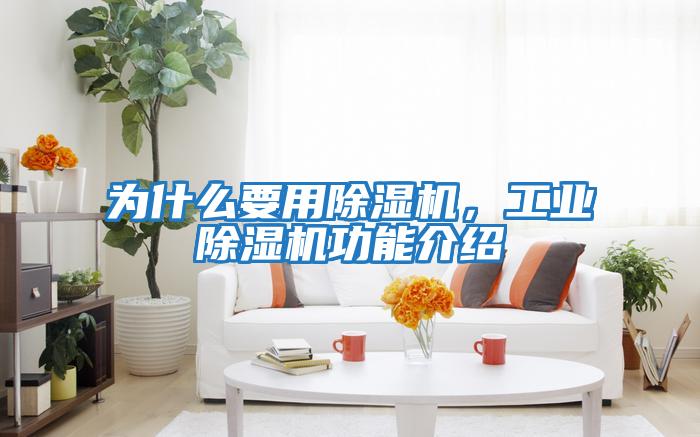 為什么要用除濕機，工業除濕機功能介紹