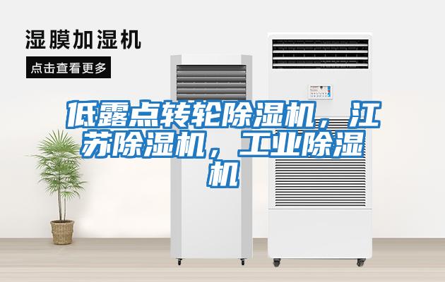 低露點(diǎn)轉(zhuǎn)輪除濕機(jī)，江蘇除濕機(jī)，工業(yè)除濕機(jī)