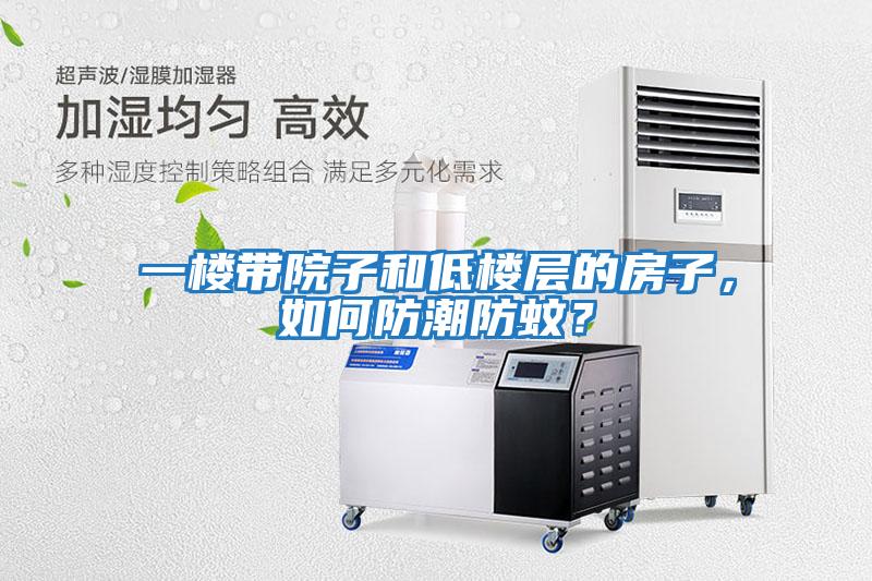 一樓帶院子和低樓層的房子，如何防潮防蚊？