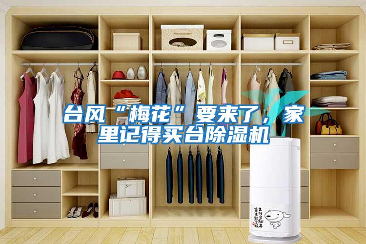 臺(tái)風(fēng)“梅花”要來了，家里記得買臺(tái)除濕機(jī)