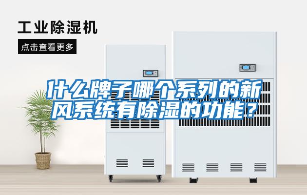 什么牌子哪個系列的新風系統有除濕的功能？