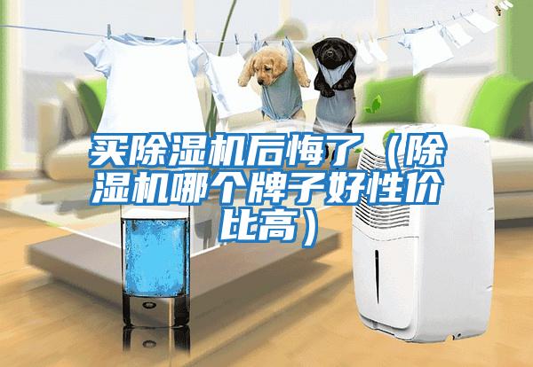 買除濕機(jī)后悔了（除濕機(jī)哪個(gè)牌子好性價(jià)比高）