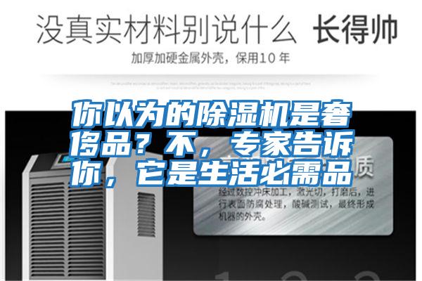 你以為的除濕機是奢侈品？不，專家告訴你，它是生活必需品