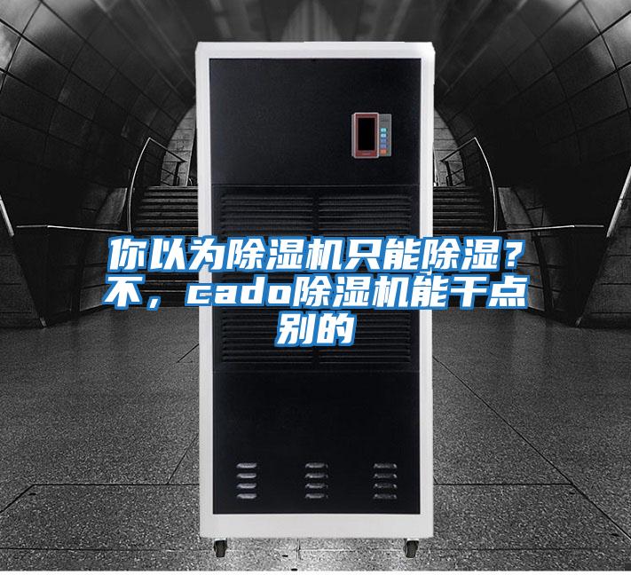 你以為除濕機只能除濕？不，cado除濕機能干點別的