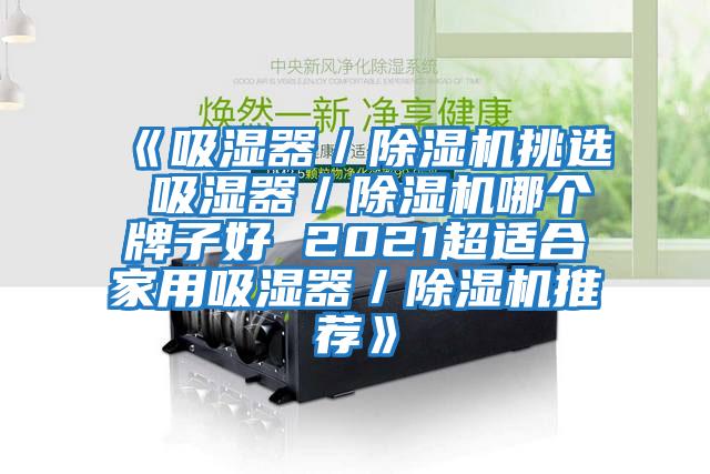 《吸濕器／除濕機(jī)挑選 吸濕器／除濕機(jī)哪個牌子好 2021超適合家用吸濕器／除濕機(jī)推薦》