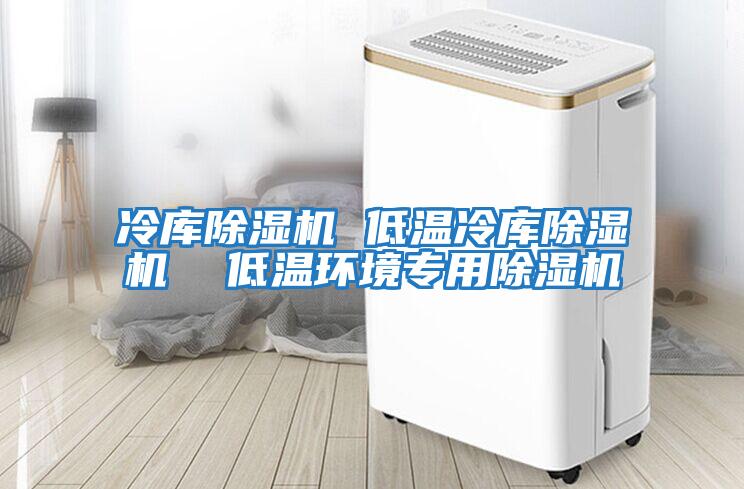 冷庫除濕機(jī) 低溫冷庫除濕機(jī)  低溫環(huán)境專用除濕機(jī)