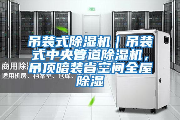 吊裝式除濕機｜吊裝式中央管道除濕機，吊頂暗裝省空間全屋除濕