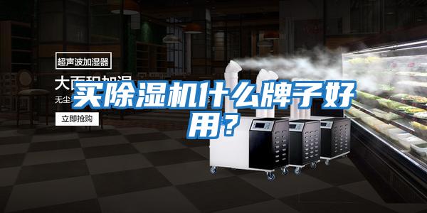 買除濕機(jī)什么牌子好用？