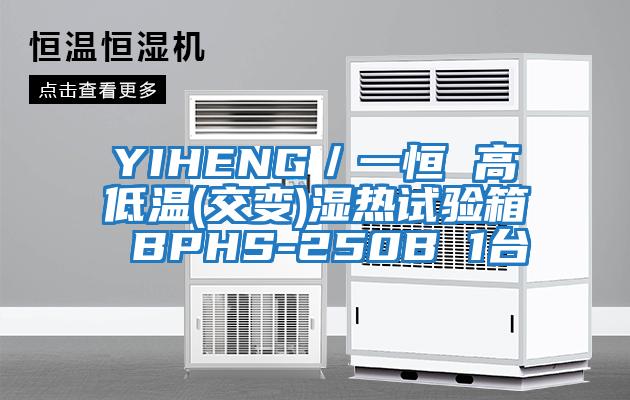 YIHENG／一恒 高低溫(交變)濕熱試驗(yàn)箱 BPHS-250B 1臺