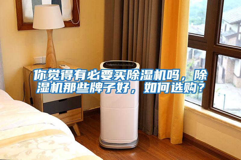 你覺得有必要買除濕機嗎，除濕機那些牌子好，如何選購？