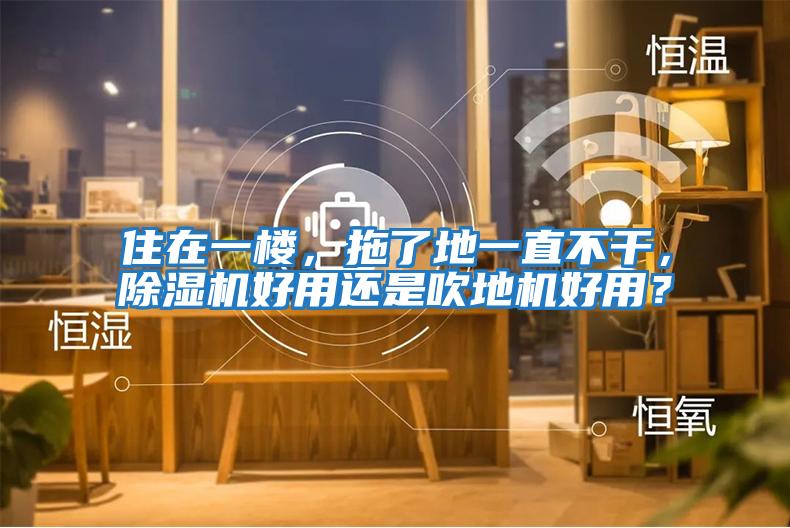 住在一樓，拖了地一直不干，除濕機好用還是吹地機好用？