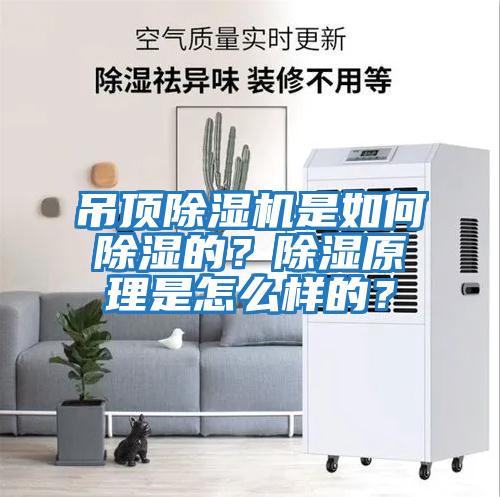 吊頂除濕機是如何除濕的？除濕原理是怎么樣的？