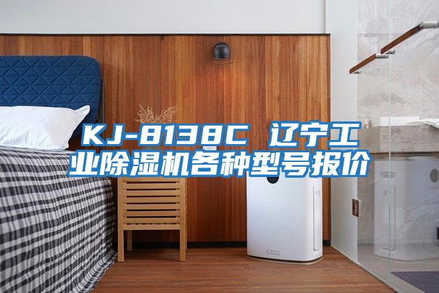 KJ-8138C 遼寧工業(yè)除濕機(jī)各種型號報(bào)價(jià)